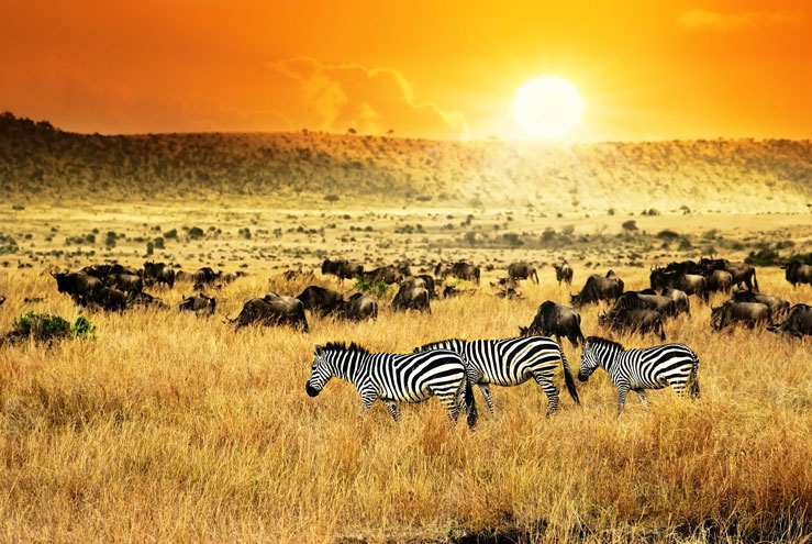 Kenya is preparing to restart tourism from August 1 ©Shutterstock