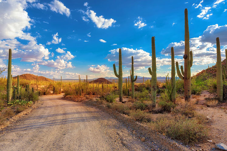 The Southwest is filled with awe-inspiring desert landscapes &copy;Dmitry Vinogradov/500px