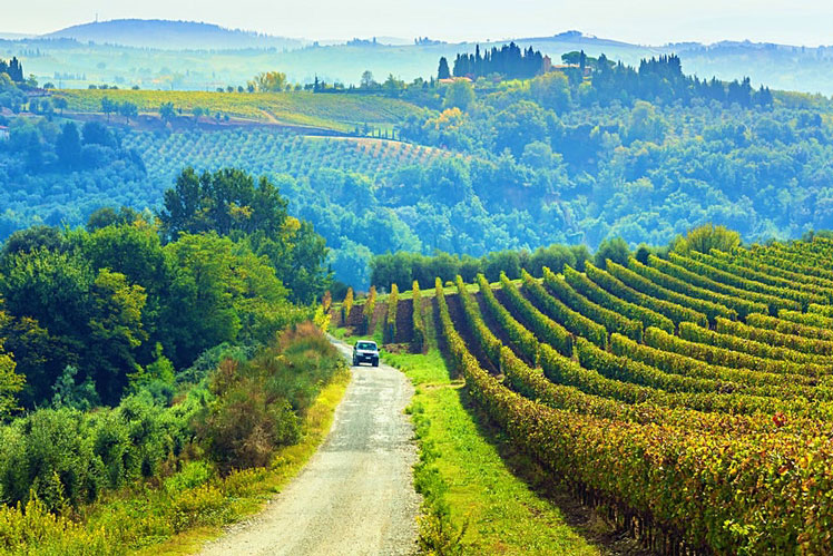 Tuscany's patchwork landscapes of vineyards and rolling hills are perfect road-trip country © Peter Zelei Images / Getty Images