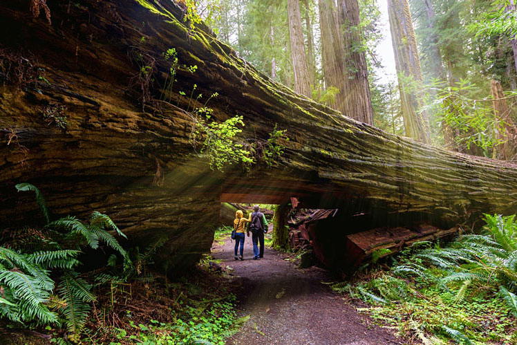 Marriott is offering discounts at hotels near national parks &copy; Yaya Ernst/Shutterstock