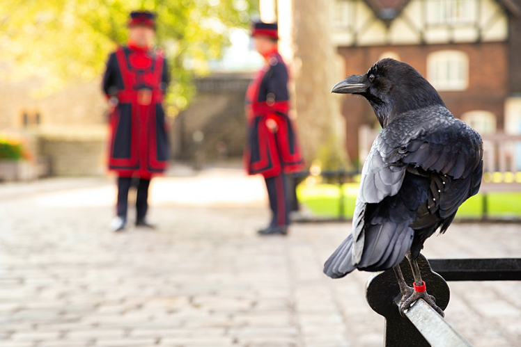 The Tower of London has it owns secrets ©VDB Photos/Shutterstock