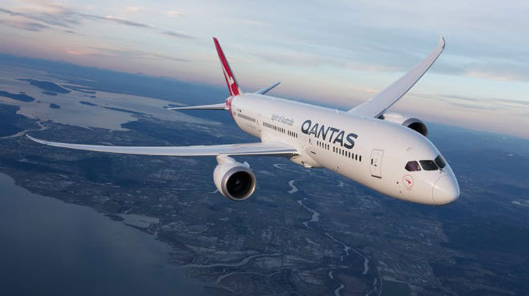 Qantas Dreamliner Quokka aircraft, Qantas Airways