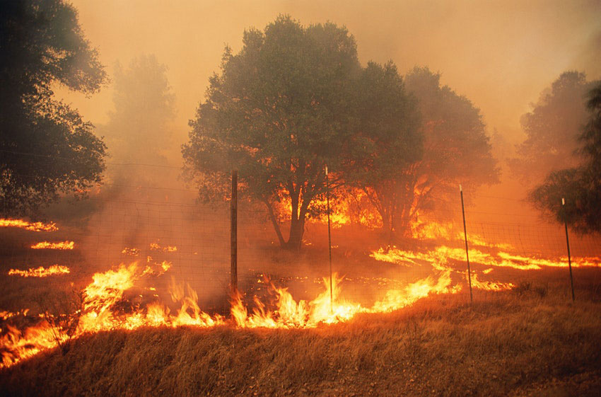 Unrelenting fires raging across the state have caused huge damage © Grant Faint/Getty Images