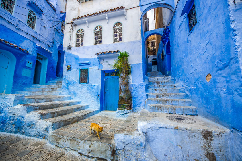 The famous blue city of Chefchaouen, Morocco © komyvgory / Getty Images