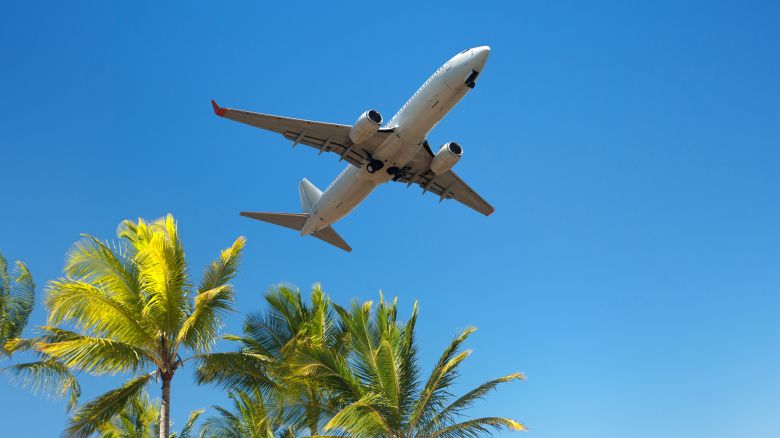 Commercial airplane close to landing at holiday destination, showing palmtrees against tropical blue sky - Horizontal image - JohannesCompaan/E+/Getty Images