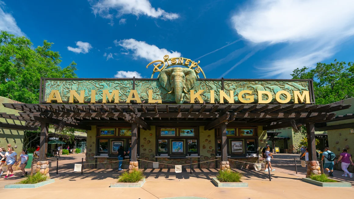 The lowest single-day price for Animal Kingdom has gone up by $10 for 2025 tickets. AaronP/Bauer-Griffin/GC Images/Getty Images