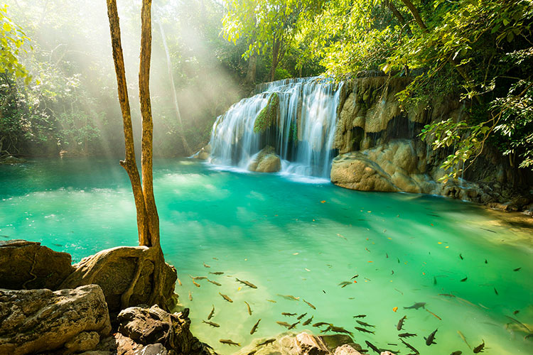 Without human contact, wildlife is thriving &copy; Lonely Planet