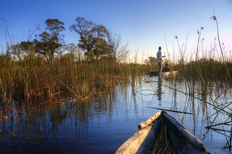 One of the most iconic safari activities in Africa is to explore the Okavango Delta in a mokoro (traditional dugout canoe) © PlusONE / Shutterstock