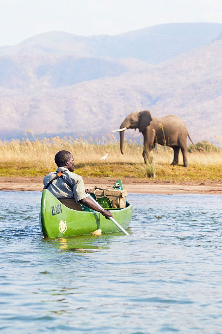 Safari by canoe on the Zambezi River from Mana Pools NP (Zimbabwe) and Lower Zambezi NP (Zambia) is an unforgettable experience © Jonathan Gregson / Lonely Planet