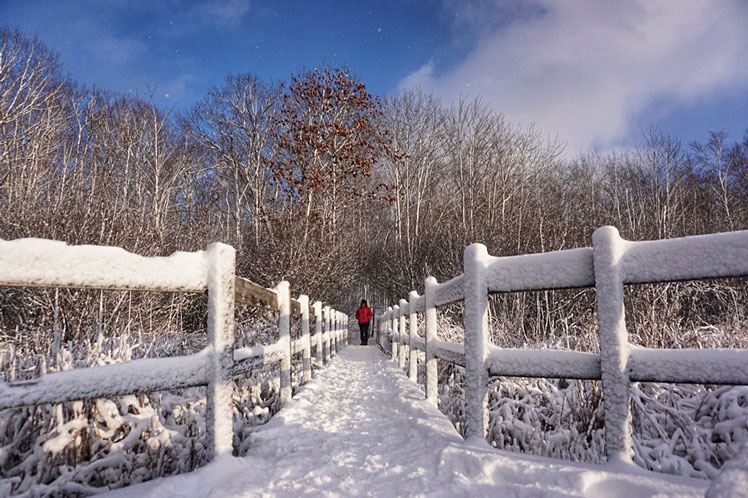 The greenbelt around Ottawa is gorgeous when dusted in snow © Jana Kriz / Getty Images