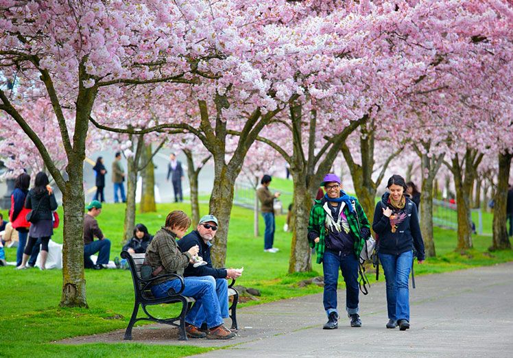 There are many lovely public parks in Portland, Oregon © DaveAlan / Getty Images