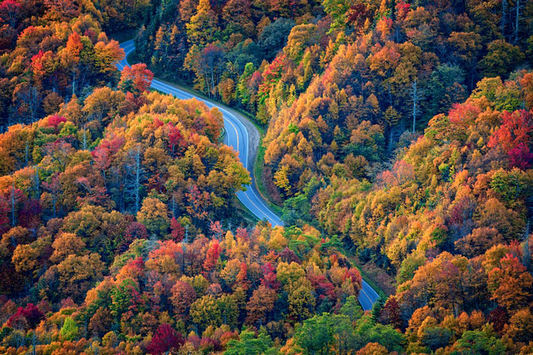 Road trips and outdoorsy destinations like the Great Smoky Mountains are both trending for 2021 © rickberk/Getty Images