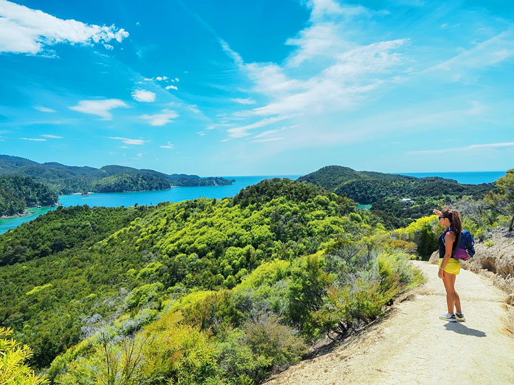 Anchorage Beach at Abel Tasman National Park is fringed with lush forests and golden sands © Robert CHG / Shutterstock