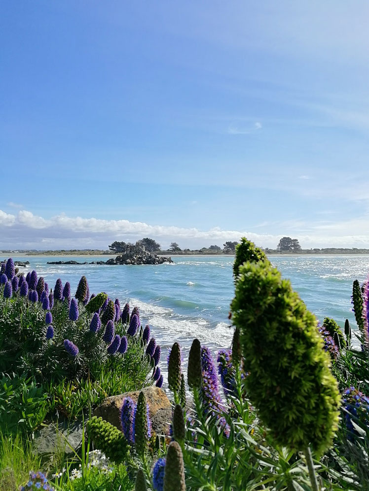 Sumner in New Zealand is a beach worth seeking out © Kiraly/Shutterstock