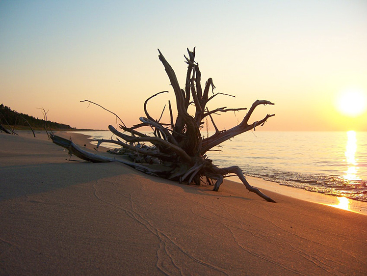 Nordhouse Dunes Wilderness Area is a great place to watch the sunset © Paul Emch / Shutterstock