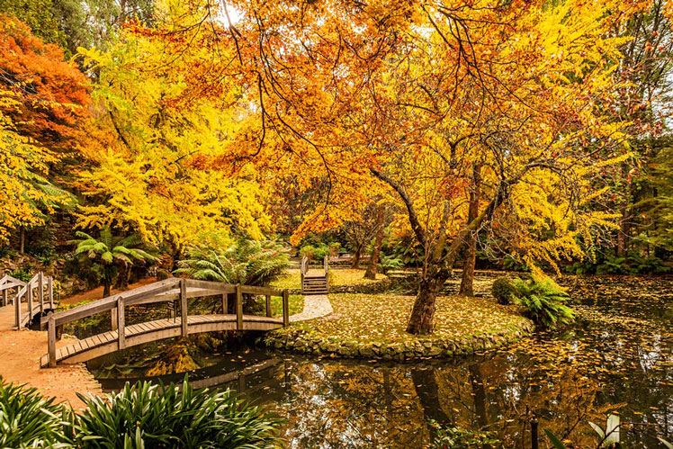 Visit Australia during autumn shoulder season for stunning fall colors ©Tsvi Braverman / EyeEm / Getty Images