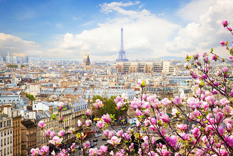 The skyline of Paris with the Eiffel Tower and blooming magnolia © Neirfy / Shutterstock